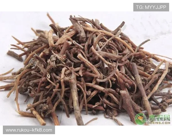 凯发体育注册中心官网首页最新登录入口及安全指南推荐